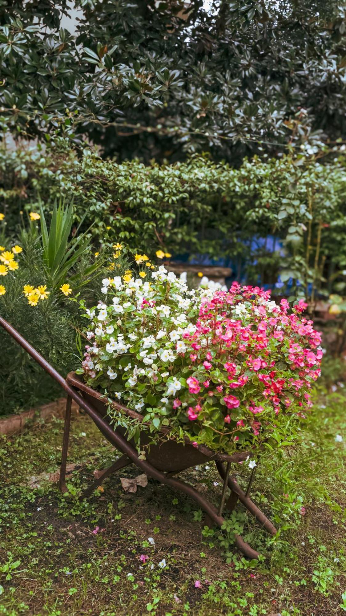 La Serra Sognante, Un Rifugio Incantevole Tra Natura E Relax Φλωρεντία Εξωτερικό φωτογραφία