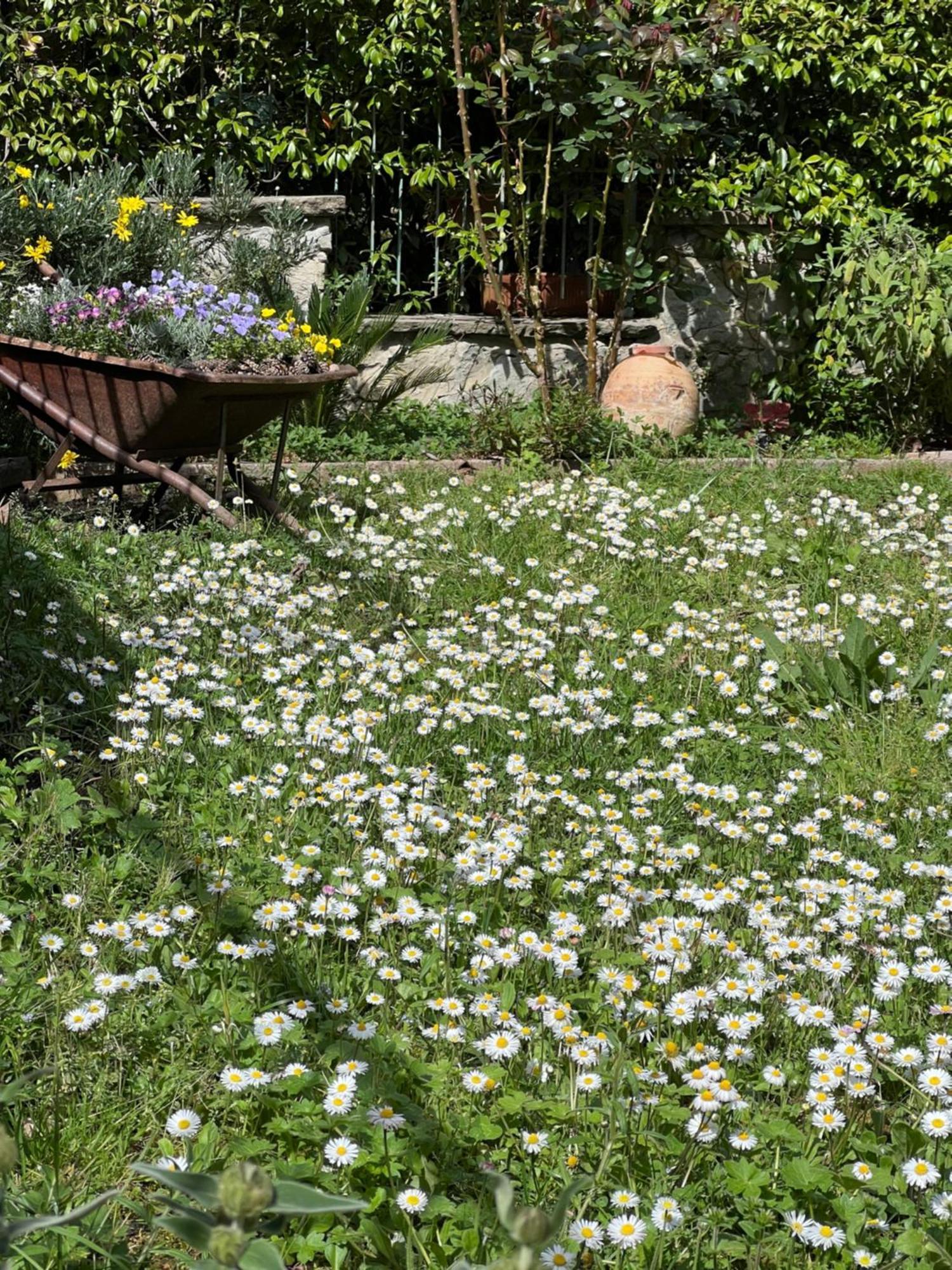 La Serra Sognante, Un Rifugio Incantevole Tra Natura E Relax Φλωρεντία Εξωτερικό φωτογραφία